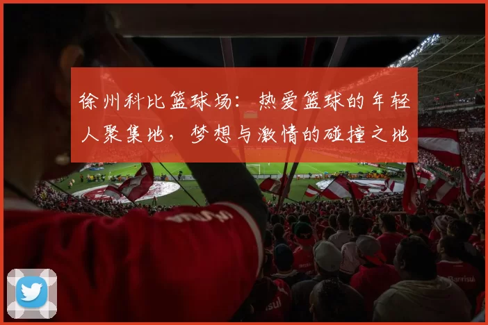 徐州科比篮球场：热爱篮球的年轻人聚集地，梦想与激情的碰撞之地